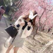 ヒメ日記 2025/03/30 13:35 投稿 しもあ コルドンブルー