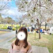 ヒメ日記 2025/04/07 11:15 投稿 しもあ コルドンブルー