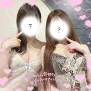 ヒメ日記 2025/04/26 11:15 投稿 しもあ コルドンブルー