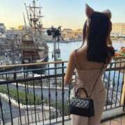 ヒメ日記 2025/05/12 14:25 投稿 しもあ コルドンブルー