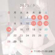 ヒメ日記 2025/08/15 13:45 投稿 しもあ コルドンブルー