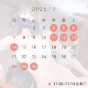 ヒメ日記 2025/08/31 10:14 投稿 しもあ コルドンブルー