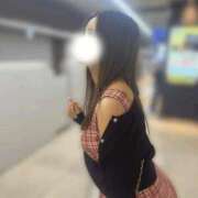 ヒメ日記 2025/09/11 10:15 投稿 しもあ コルドンブルー