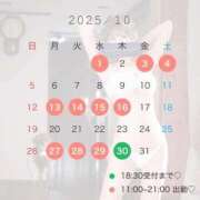 ヒメ日記 2025/09/19 13:55 投稿 しもあ コルドンブルー