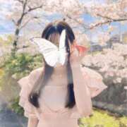 ヒメ日記 2026/02/28 15:35 投稿 しもあ コルドンブルー