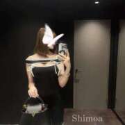 ヒメ日記 2026/03/06 11:05 投稿 しもあ コルドンブルー