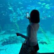 ヒメ日記 2026/03/19 21:15 投稿 しもあ コルドンブルー