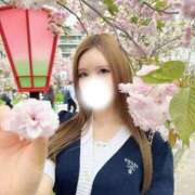 ヒメ日記 2026/04/14 19:05 投稿 しもあ コルドンブルー