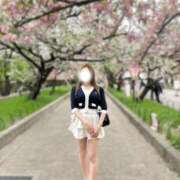 ヒメ日記 2026/04/18 12:05 投稿 しもあ コルドンブルー