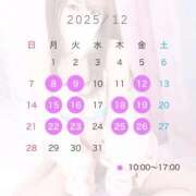 ひなの 🩶今月の予定🩶 川崎ソープ　クリスタル京都南町