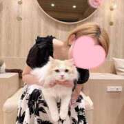 ヒメ日記 2025/07/22 09:12 投稿 るか 人妻の雫　福山店