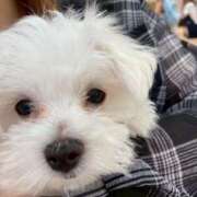 ヒメ日記 2025/06/09 07:47 投稿 宮古島みやこ 全裸美女からのカゲキな誘惑