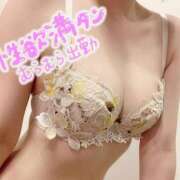 ヒメ日記 2026/04/10 11:42 投稿 宮古島みやこ 全裸美女からのカゲキな誘惑