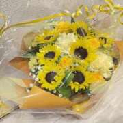 ヒメ日記 2025/09/02 19:57 投稿 星野　ことは Muzerva Wave