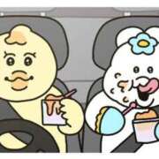 ヒメ日記 2025/01/01 20:51 投稿 なな アラカルト