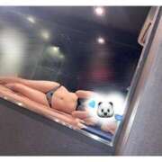 ヒメ日記 2025/04/15 10:06 投稿 なな アラカルト