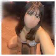 ヒメ日記 2025/06/03 09:09 投稿 なな アラカルト