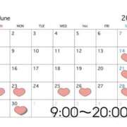 ヒメ日記 2025/06/13 17:34 投稿 なな アラカルト
