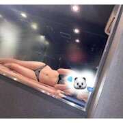 ヒメ日記 2025/07/28 12:53 投稿 なな アラカルト