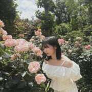 ヒメ日記 2025/05/24 19:47 投稿 長谷川夕妃エクセレント -NEO-皇帝別館（中央街）