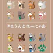 ヒメ日記 2025/02/22 16:57 投稿 さゆき 奥鉄オクテツ奈良