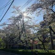 ヒメ日記 2026/04/08 20:57 投稿 さゆき 奥鉄オクテツ奈良