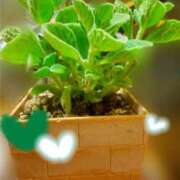 ヒメ日記 2025/03/01 22:47 投稿 ふうか エンジェルシリカ