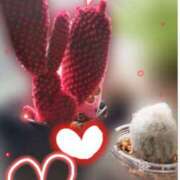 ヒメ日記 2025/03/24 21:38 投稿 ふうか エンジェルシリカ