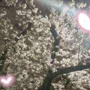 ヒメ日記 2025/03/29 21:52 投稿 ふうか エンジェルシリカ