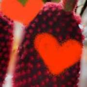 ヒメ日記 2025/03/31 10:19 投稿 ふうか エンジェルシリカ