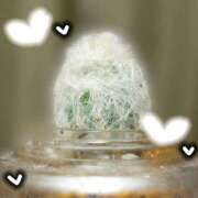 ヒメ日記 2025/04/06 22:35 投稿 ふうか エンジェルシリカ