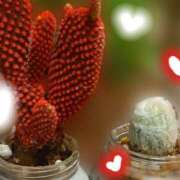 ヒメ日記 2025/04/07 22:45 投稿 ふうか エンジェルシリカ