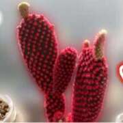 ヒメ日記 2025/04/10 08:01 投稿 ふうか エンジェルシリカ