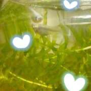 ヒメ日記 2025/04/19 22:36 投稿 ふうか エンジェルシリカ