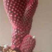 ヒメ日記 2025/05/01 10:03 投稿 ふうか エンジェルシリカ