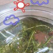 ヒメ日記 2025/05/13 07:44 投稿 ふうか エンジェルシリカ