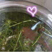 ヒメ日記 2025/05/17 08:42 投稿 ふうか エンジェルシリカ