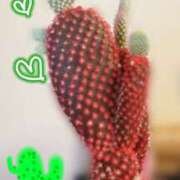 ヒメ日記 2025/05/26 07:34 投稿 ふうか エンジェルシリカ