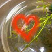 ヒメ日記 2025/05/30 23:33 投稿 ふうか エンジェルシリカ