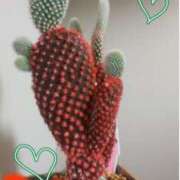 ヒメ日記 2025/06/02 07:12 投稿 ふうか エンジェルシリカ