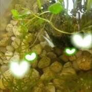 ヒメ日記 2025/06/25 06:41 投稿 ふうか エンジェルシリカ