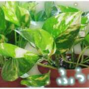 ヒメ日記 2025/08/18 21:11 投稿 ふうか エンジェルシリカ