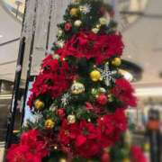 ヒメ日記 2025/11/28 00:22 投稿 さゆき 奥鉄オクテツ兵庫