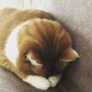 ヒメ日記 2025/08/12 17:36 投稿 ひより 太田人妻城