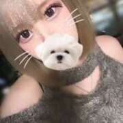 ヒメ日記 2025/04/08 16:23 投稿 マオ 川越スイートラバー