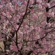 ヒメ日記 2026/04/05 21:56 投稿 さら 新潟デリヘル倶楽部