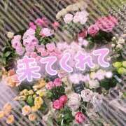 ヒメ日記 2025/11/19 16:27 投稿 あず 奥様特急　上野・鶯谷店