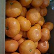 ヒメ日記 2025/12/27 11:19 投稿 アイ(P) PRIME