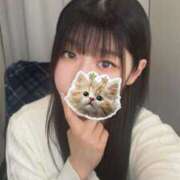 ヒメ日記 2024/12/16 19:31 投稿 リサ エピソード(品川)