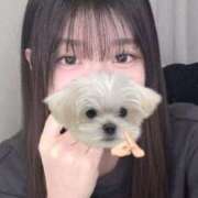 ヒメ日記 2025/10/11 17:01 投稿 リサ エピソード(品川)